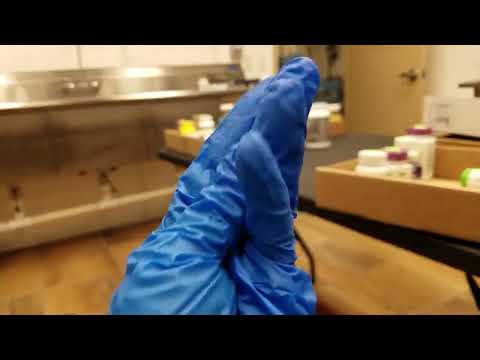 Glove ASMR At Work
