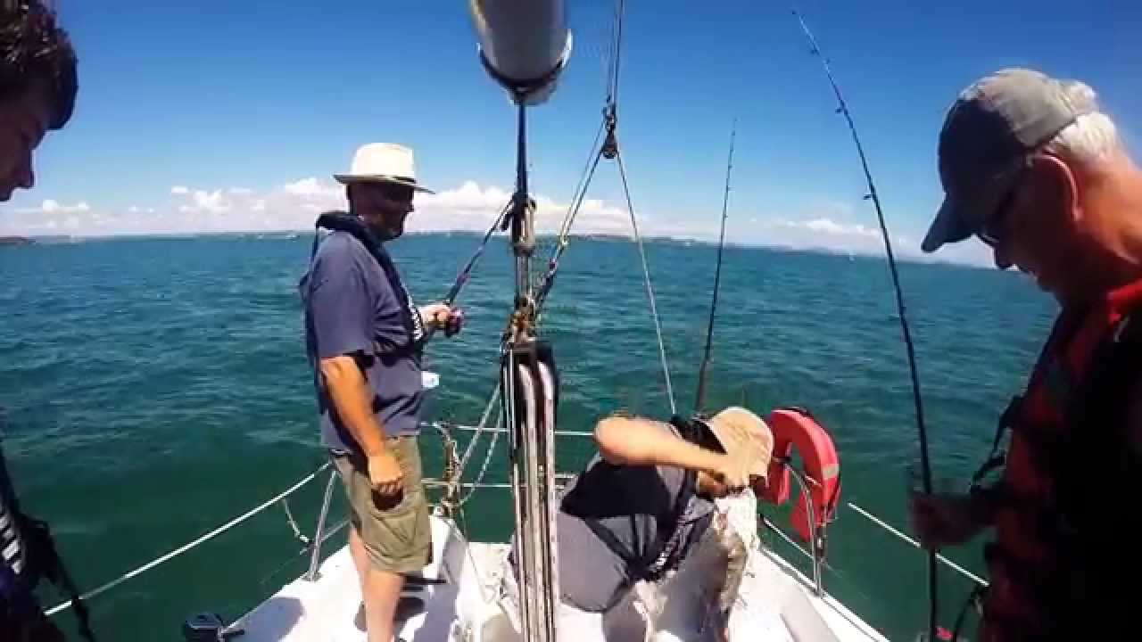 Catching snapper and Trevally in Waitemata harbour