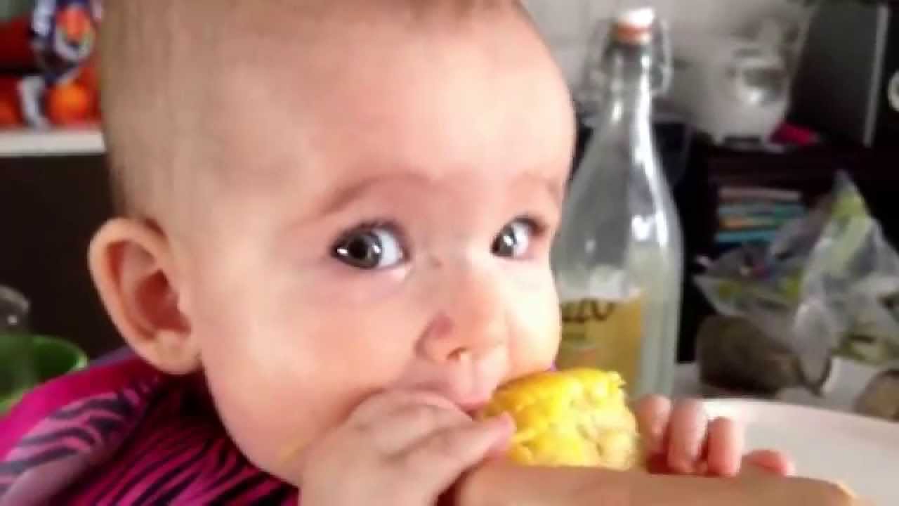 Supper cute baby eating corn on the cob !!! She is loviiiing it!! Chewing to the max! YouTube