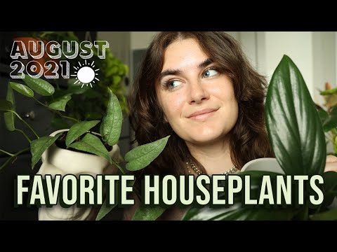 My Top 5 Favorite Houseplants 🌿 Best Indoor Plants August 2021