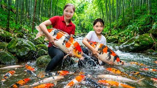 Download Lagu TIMELAPSE - Harvesting 1000+ Rare Natural Koi Fish Goes To Market Sell, Selling a Flock Mature Ducks MP3