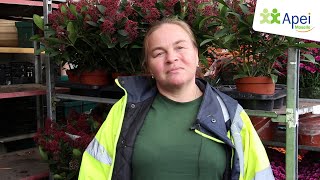 Jennifer Lemonnier - prestation de service en espaces verts