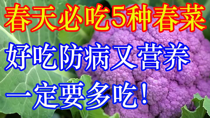 春天必吃這5種春菜！好吃防病又營養！一定要多吃！ | 李醫生談健康【中醫養生】 - 天天要聞