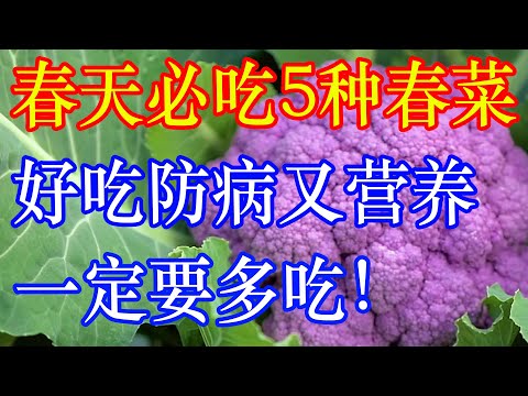 春天必吃这5种春菜！好吃防病又营养！一定要多吃！ | 李医生谈健康【中医养生】