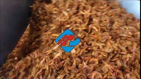 Multihead Weigher Packing Machine For Seafood