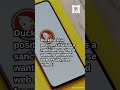 DuckDuckGo Rises as AI-Free Search Alternative