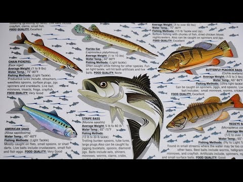 25l classic laptop backpack Global Travel Color:Dark as Night Herschel Supply Co. Celebrates built with the durability Gaff