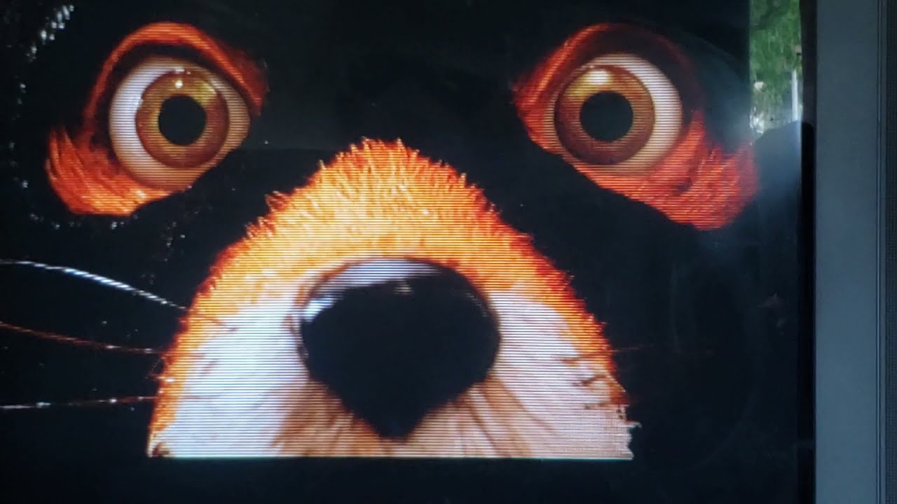 Fantastic Mr. Fox (2009 Film) - Mr. Fox Vs Dog (550 Subscriber Special ...