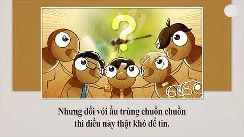 Câu Chuyện Ấu Trùng Chuồn Chuồn Và Chú Ếch