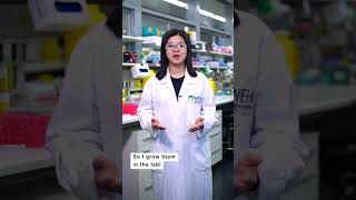 Art of Science 2022 – How do scientists study living nerve cells, and why?