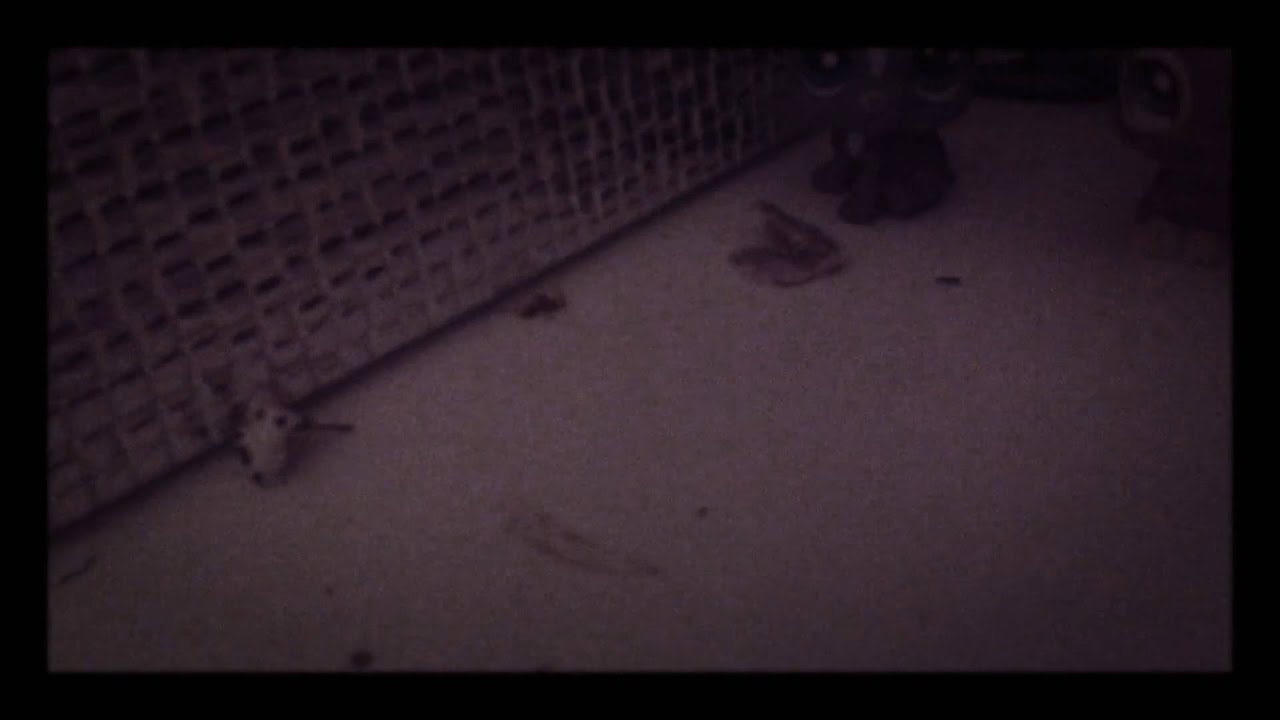 Warriors trailer YouTube