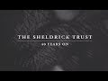 The Sheldrick Trust - 40 years on | Sheldrick Trust