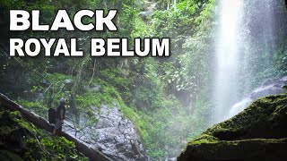 Taman Negeri Royal Belum (Part 1)