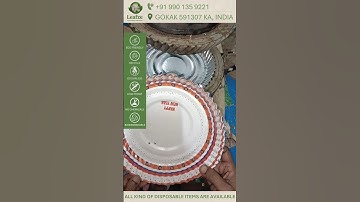 10" inch new design printed wrinkle paper plate by Leafze products #paperplates #leafze #gokak 73