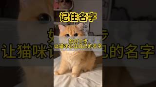 三个方法让猫咪🐱快速记住它的名字！ #pets #猫咪姓名 #cat #貓咪日常 #寵物日常 #貓咪 #萌寵 #主人 #cute #寵物