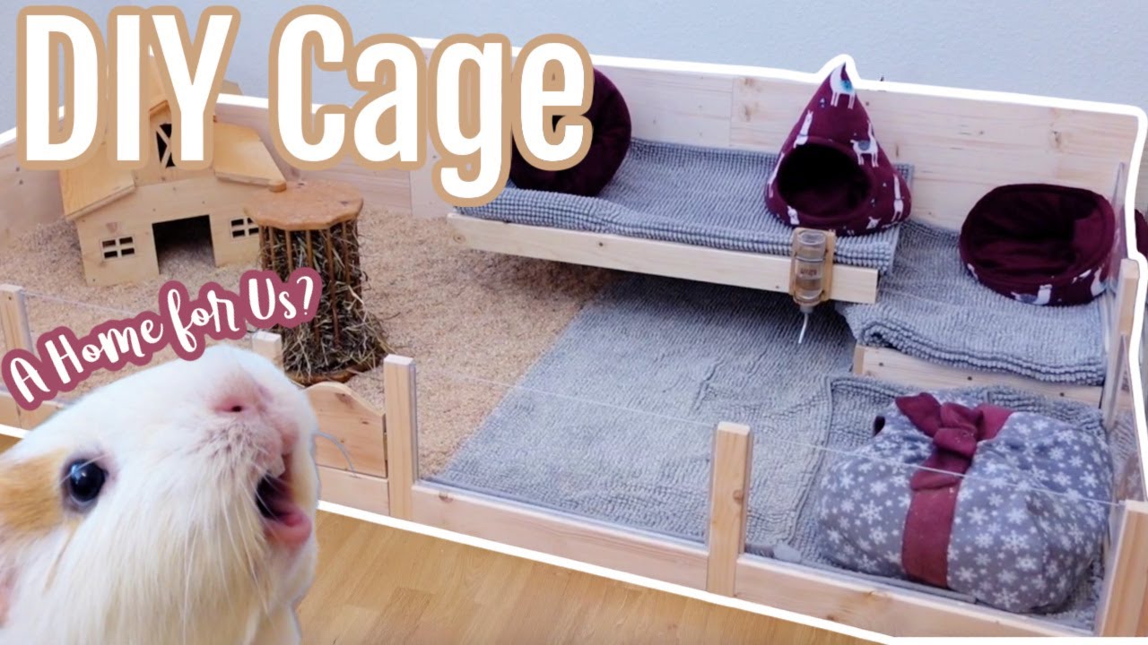 guinea pig cage