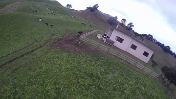 Hovership ZUUL Superbeast // Deep Down Low