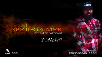 Sprigga Mek - WHAT!? (Prod by Epic De Epidemik)