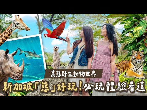 可樂旅遊｜亞洲最好玩的動物園⁉️????????新加坡萬態野生動物世界????五大園區刺激體驗全曝光????真的是超近距離與野生動物互動????????????