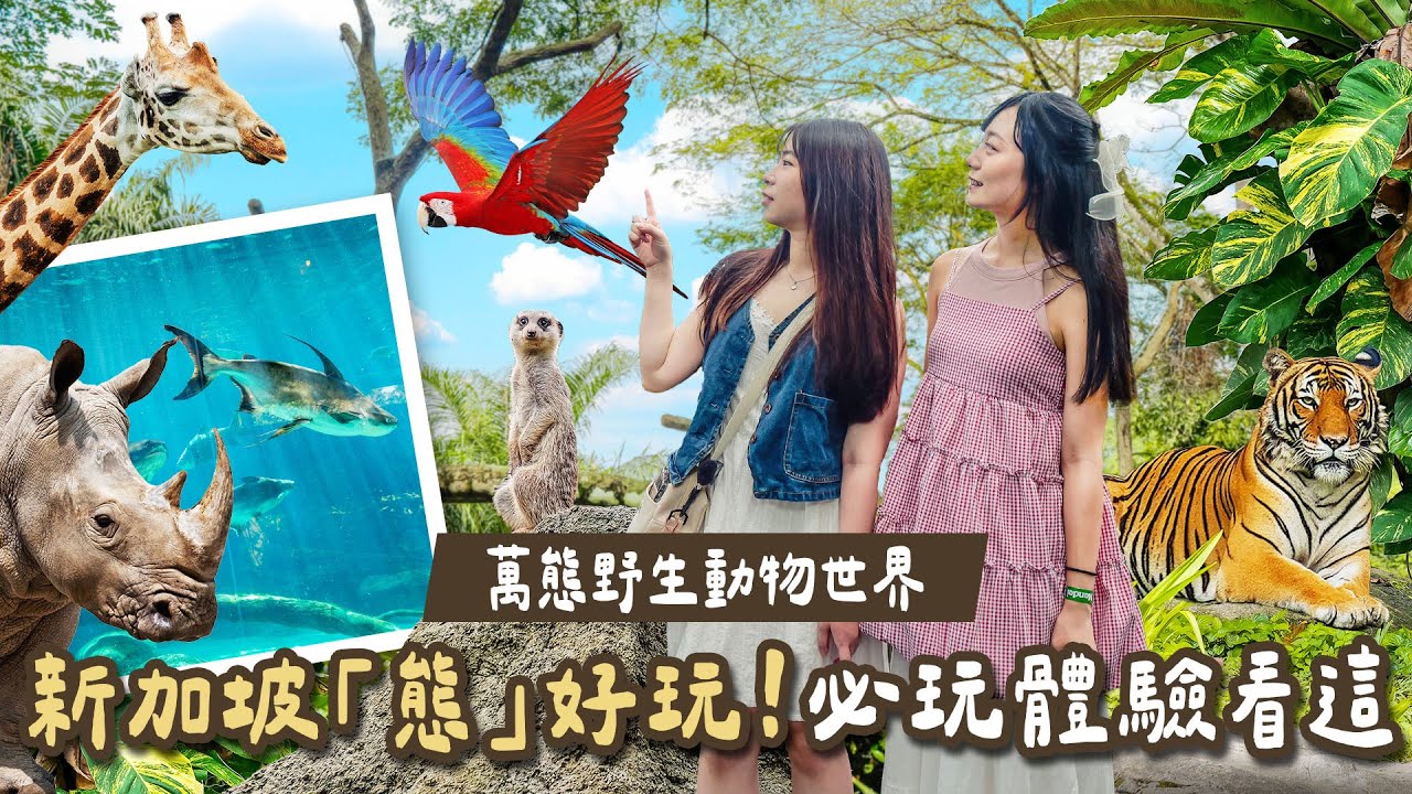 可樂旅遊｜亞洲最好玩的動物園⁉️🇸🇬新加坡萬態野生動物世界🐾五大園區刺激體驗全曝光💥真的是超近距離與野生動物互動🐧🐯🐼