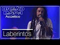 Dread Mar I - Laberintos (Acústico)