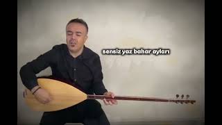 Sensiz Yaz Bahar Ayları Kış Gelir - Selçuk Boran Şfetteyim