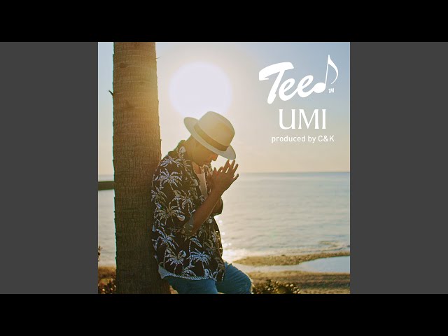 TEE - Umi