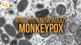 Monkeypox Explained by LiveScience 1,210 views 1 year ago 4 minutes, 42 seconds