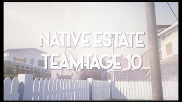 Native Teamtage 10