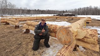 Building My Log Home Pt. 4 - Scribing the First Logs Onto the Wall!