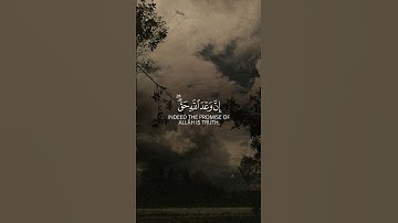 تلاوة القرآن الكريم,🤎🪐