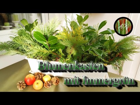 diy-/-herbstdeko-/-schneller-gestaltungstipp-für-haus-u.-garten