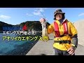 【イカ釣り入門者必見】アオリイカエギング入門 の動画、YouTube動画。