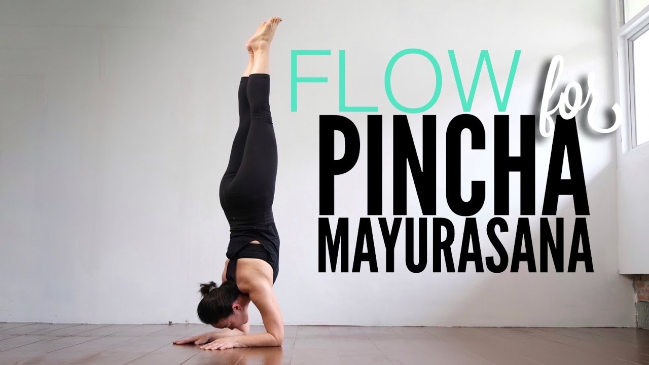 Sun Salutation for Pincha Mayurasana with P meme | มาฝึกการไหว้พระอาทิตย์กับท่าพินชากับพี่หมี่กัน
