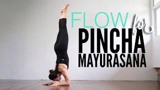 Sun Salutation for Pincha Mayurasana with P meme | มาฝึกการไหว้พระอาทิตย์กับท่าพินชากับพี่หมี่กัน