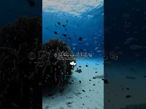 عينا فيها ت سمى س لس بيلا سورة الإنسان الآية 18