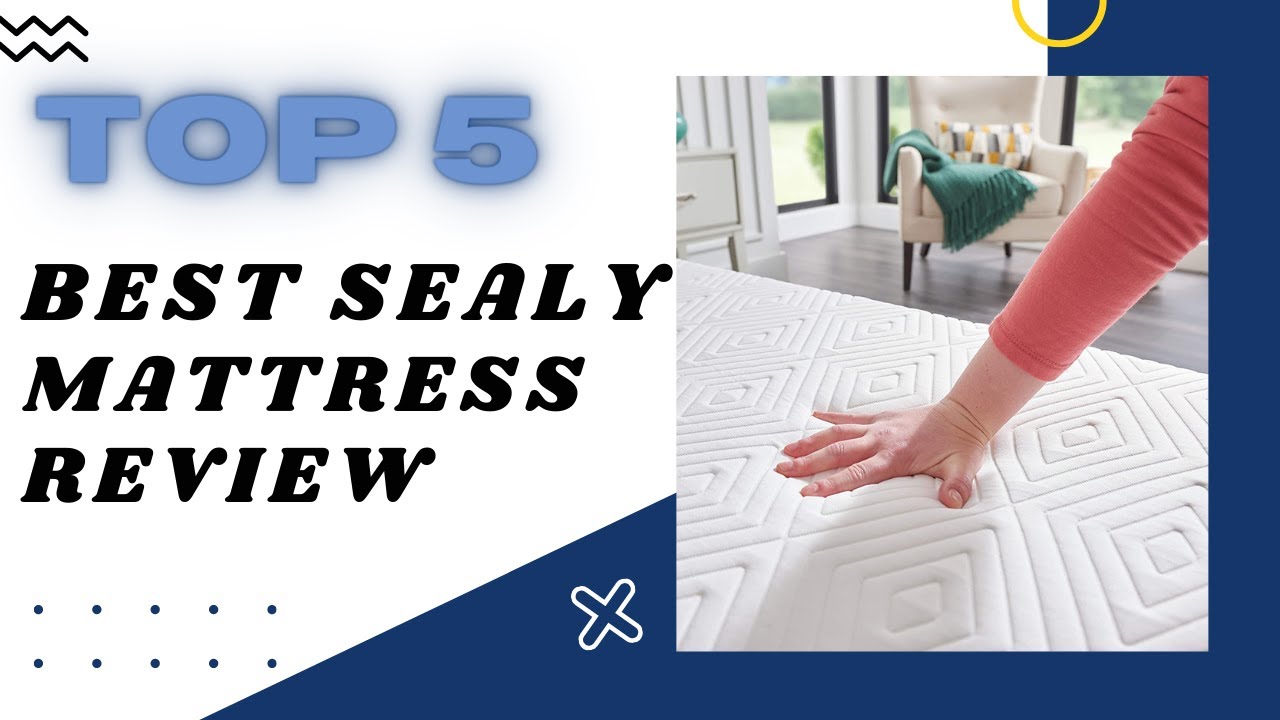 Top 5 Best Sealy Mattress Review Sealy Foam Bed in a Box 8 Inch