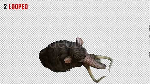 Mammoth 3 Realistic Pack 2 | Motion Graphics - Envato elements