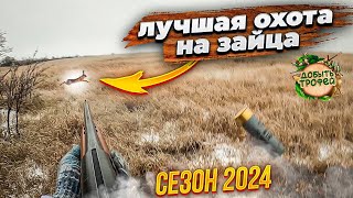 ЛУЧШАЯ ОХОТА СЕЗОНА 2024 на ЗАЙЦА !