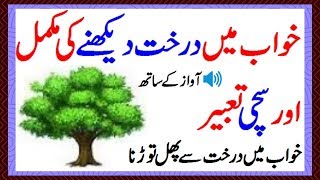 Khwab mein Darakht Dekhnay Ki Tabeer In Urdu Khawab Mein Darakht (Tree) Dekhna Kaisa