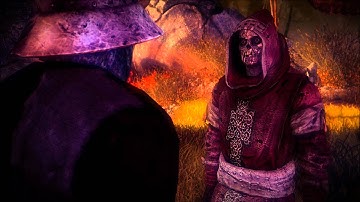 The Witcher 2: Chapter 2 Part 7 (Roche)