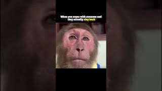 Sad truth #memes #funny #monkey
