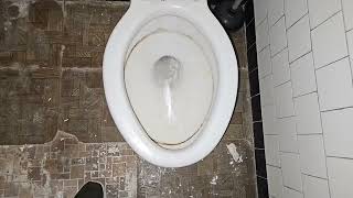 1947 Standard Madera toilet