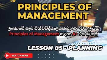 Principles of Management. Lesson 05 Planning