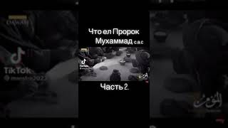 Что ел Пророк Мухаммад С.А.В