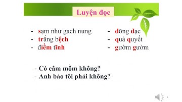 TẬP ĐỌC KHUẤT PHỤC TÊN CƯỚP BIỂN