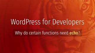 5.3 Pages-To Echo or Not To Echo in WordPress / ZY Saeed