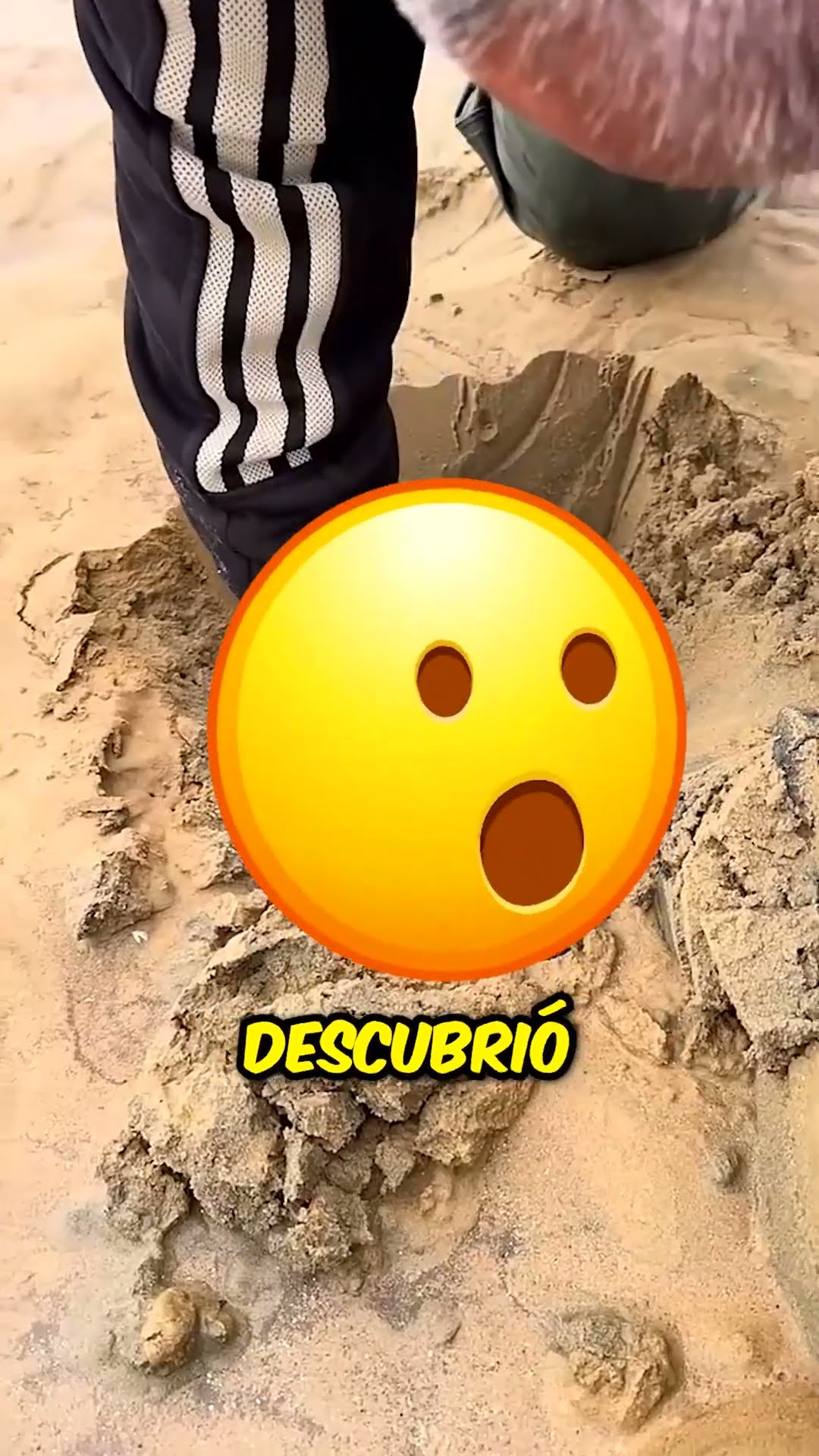 ¡CAVANDO en la ARENA para ENCONTRAR un TESORO! ?