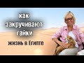 ЗАМУЖ В ЕГИПЕТ🌴семья и ценности 😁 ЮМОР ИЗ ЕГИПТА 