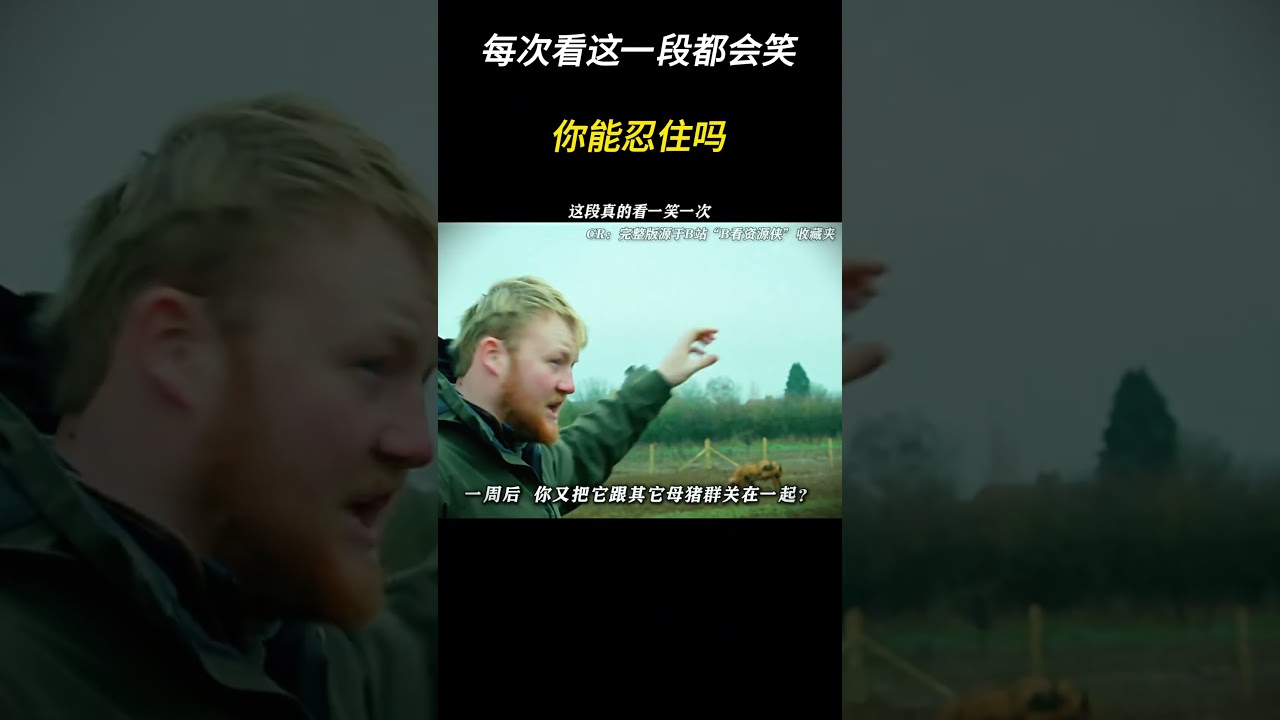 每次看这一段都会笑,你能忍住吗?